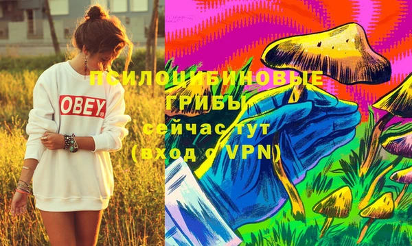 мескалин Вязьма
