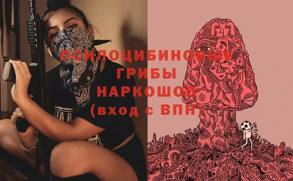 СК Вязники