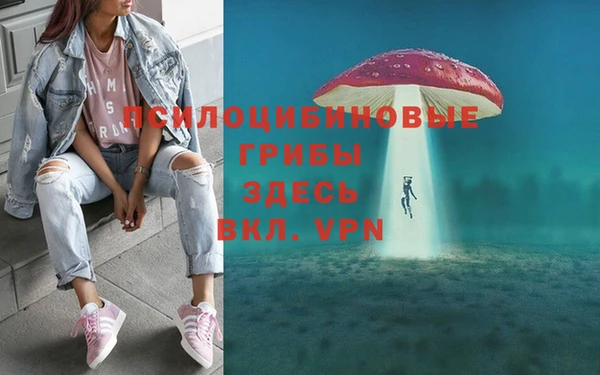 СК Вязники