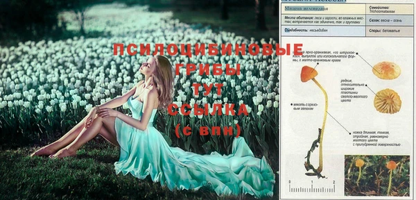 СК Вязники